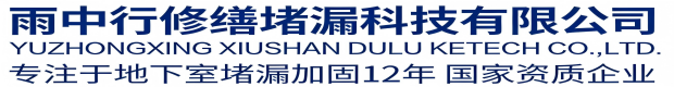 安庆雨中行科技防水堵漏工程有限公司