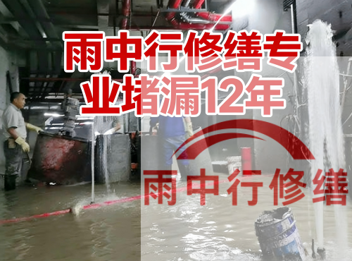 安庆中国五矿某大型污水处理厂堵漏案例